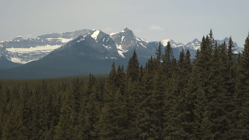 4K Forest and Mountains in Lake Louise Ski Resort - Trees in foreground, moving shot - Banff, Alberta