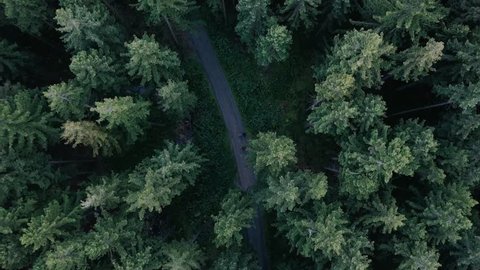 This droneshot was taken on a three day trip to "Harz Forrest" in Germany. 