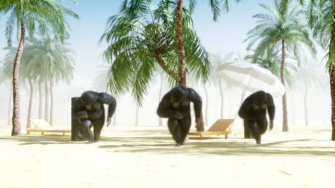 Funny gorillas and monkeys dancing on sunny seaside. Tourism and rest concept. Realistic 4K animation.