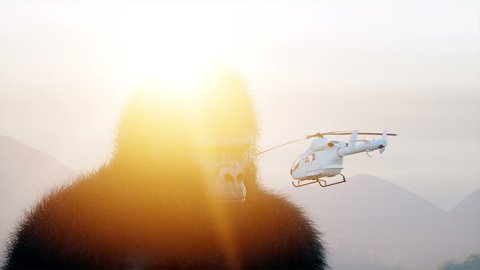 Giant gorilla and helicopter in jungle. Prehistoric animal and monster. Realistic fur and animation. 4K render.