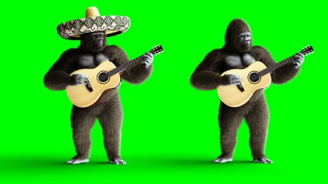 Funny brown gorilla play the guitar. Super realistic fur and hair. Green screen 4K animation.