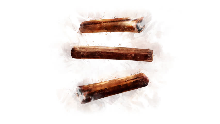 Watercolor Cinnamon set for video editing