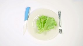 female hands cut green salad leaves on white plate. healthy and tasty snack