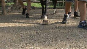 the legs of men and horses walk each other very slowly