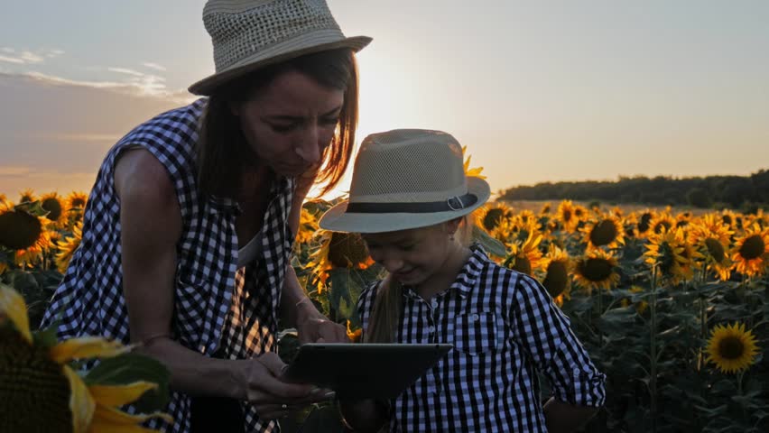A family farmer with a tablet in the field. Pretty female farmer and her beautiful daughter talk about sunflower in the field. Farming concept.