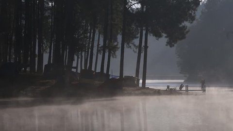 Travelers are relaxing with morning fog on bridge of lake in forest camping and pine tree