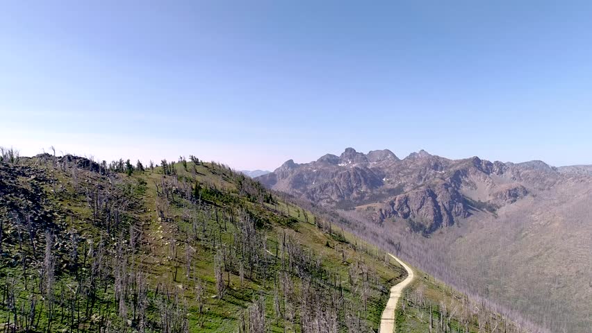 Following a ridge line with dead trees and grass to a predominant mountain range in the Idaho wilderness. aerial