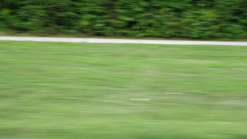 Passing sidewalk and suburban park. View from car. Bronte, Ontario, Canada.