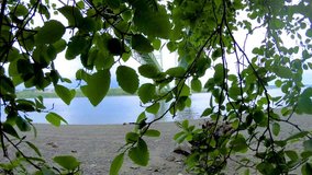 Walking through Trees under a bridge - Powered by Shutterstock - Get 15% off with code: PIKWIZARD15