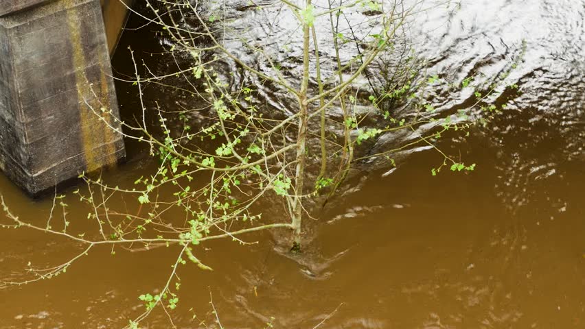 River with high water levels in Mississippi.