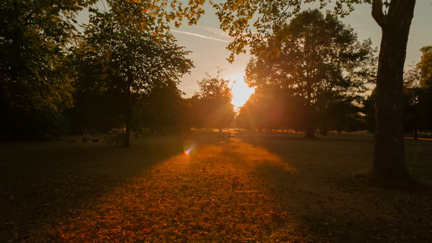 Wide angle shot of a beautiful sunset in Hyde Park, London, UK. The park was established by Henry VIII in 1536 Royalty-Free Stock Footage #1014914125