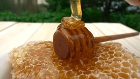 Honey dripping from honey dipper on honeycomb, over yellow background. 4k