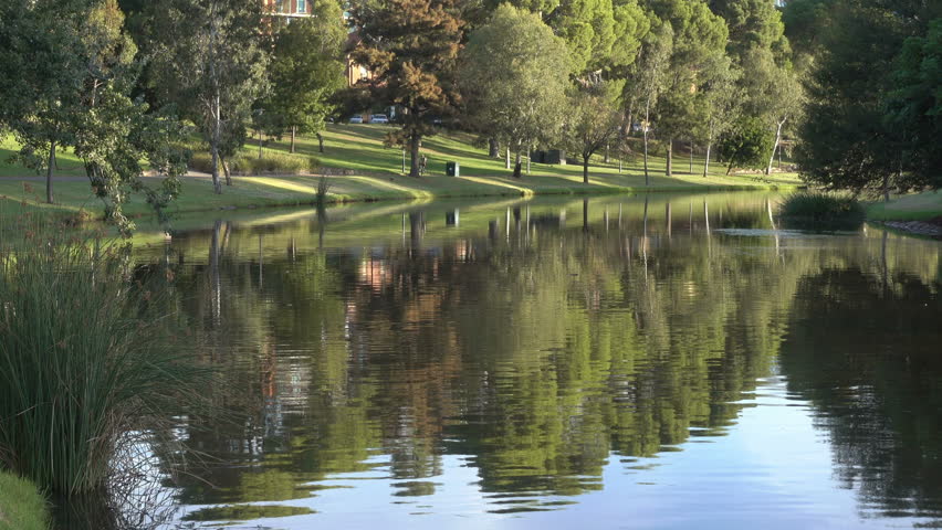 Reflections of trees in the River Torrens, Adelaide, South Australia