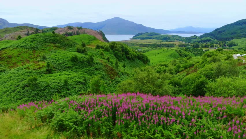 Wonderful landscape and green hills around Loch Long in Scotland