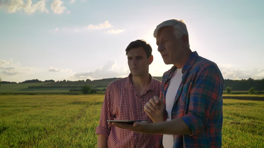 Old dad with adult son planning cultivating and standing on wheat field, holding tablet and talking about project, beautiful sunset