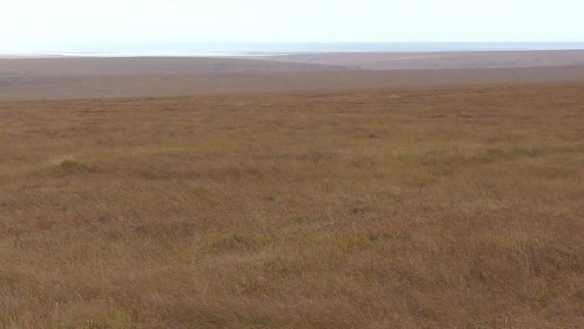 Tundra Seward Peninsula in Fall in Alaska