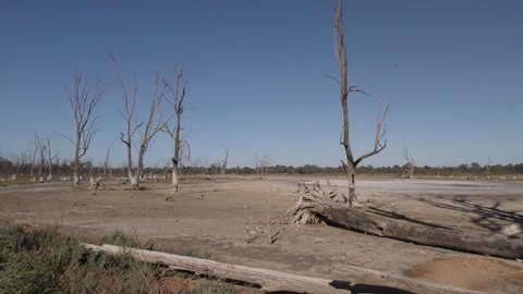 Lake Pond Kings Billabong Wildlife Reserve Dry Drought Barren Lake Bed Snags in Australia