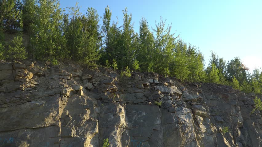 Trees on Stony Mountain
