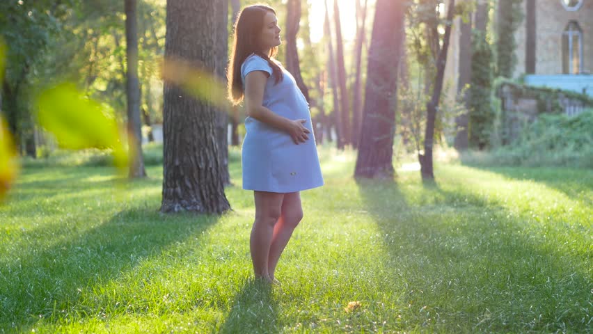 Young pregnant woman with brown hair and blue dress stroking her belly sunrise | Shutterstock HD Video #1014952078