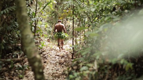 Iranduba/Amazonas/Brasil - 03/04/2017

Brazilian Indian walking in the woods.
Índio brasileiro andando na floresta.