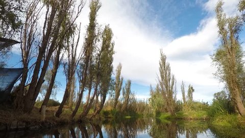 Hyperlapse while navigating in Xochimilco River with trees and some forest behind and birds flying in the sunrise in a clear and cloudy day.
