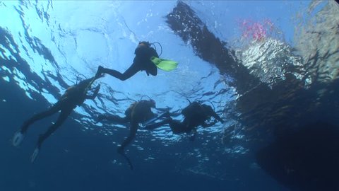 scuba divers ascending sutface back to boat underwater