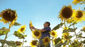 man farmer holding in hand a plastic bottle sunflower oil stands in the field. slow motion video. sunflower oil production and research agriculture farming. large sunflowers against the blue sky