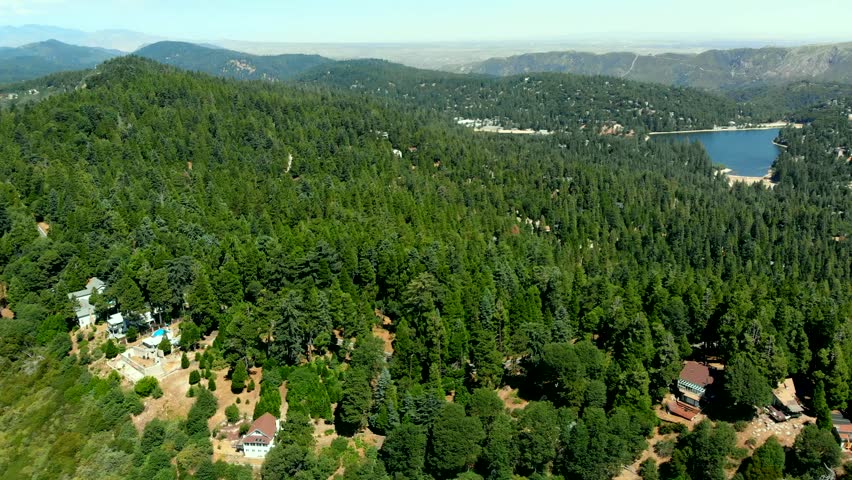 Drone Shot Flying Up and Over the Incredible Forest in Lake Arrowhead with the Lake in the Background