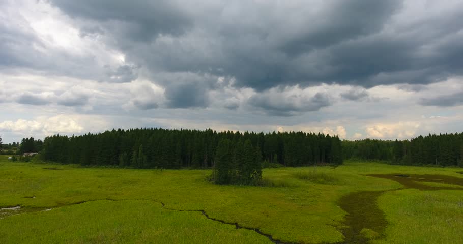 Aerial, panoramic movement at swamp among a forest and sky with dark heavy clouds - 1