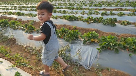 Cute Little Boy Running In The Strawberry Farm

