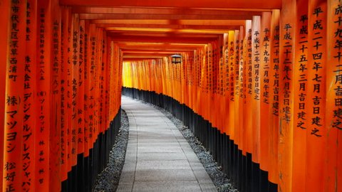 KYOTO, JAPAN - APRIL, 16, 2018: gimbal steadicam shot walking past vermilion torii gates and a lantern at fushimi inari shrine in kyoto, japan- the text names the gate donor and date