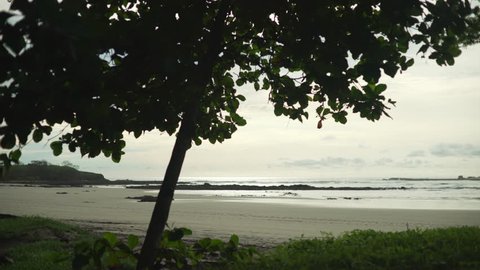 Scenic view of Costa Rica shore with calm sea waves behind tree. Rugged coastline in the tropics in late afternoon. 4k