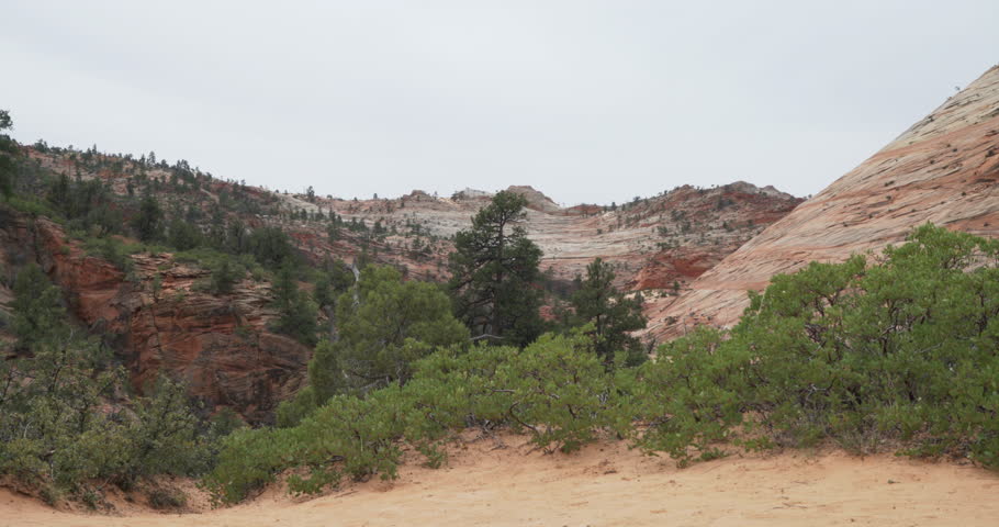 Retired white woman hiking up to cliff edge to see the rocky horizon in Zion Utah. Beautiful view of sandstone canyon while elderly adventurer hikes along edge of mountain