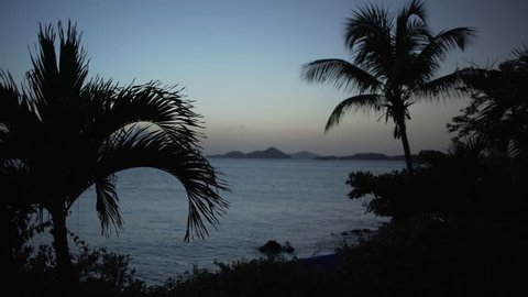 Very silhouetted tropical trees with a twilight shot of the Caribbean ocean for green screen or chroma key. Out of focus or defocused background plate.