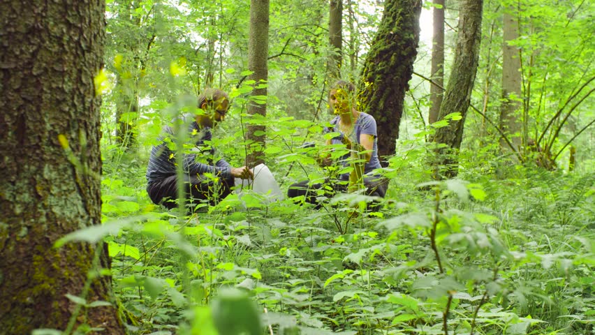 Man and woman scientists environmentalist in the forest. They taking samples of a sod and talking Royalty-Free Stock Footage #1015023649