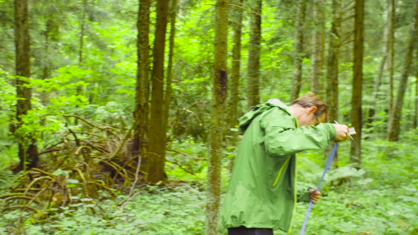 A scientist environmentalist exploring plants in a contaminated forest. He measuring a young tree and writing results in a notebook Royalty-Free Stock Footage #1015023718