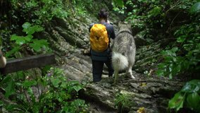 Blogger traveler shoots video of his dog by action camera in green forest at the mountain