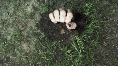 Human hand is coming out of ground. Top view. Strange things