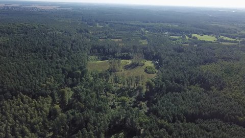 Aerial: flight over forest and meadows in summer, polish countryside at sunny day.