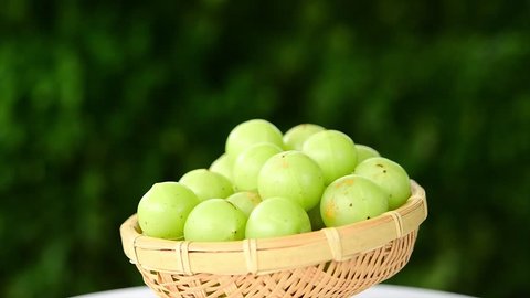 amla green fruits,Phyllanthus emblica in basket.