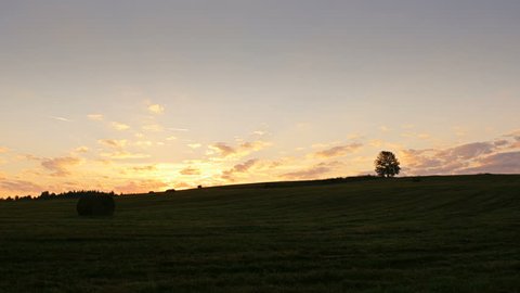 Time lapse shot of lonely tree on green field against sunset background
