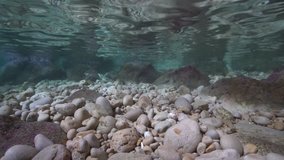 Underwater pebbles and rocks in shallow water with the ripples of water surface inside a cave, natural light, Mediterranean sea, Catalonia, Costa Brava, Cala Montgo, l'Escala, Spain