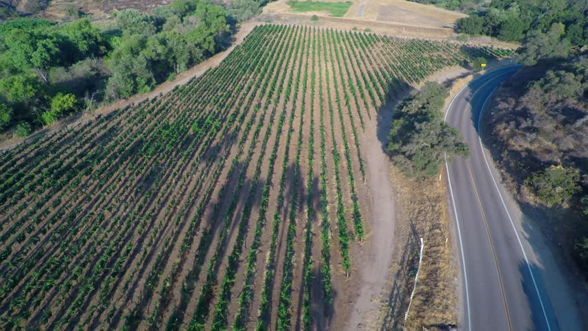 Aerial view flying over rows of grape vines at a vineyard near a country road with a pickup truck driving by.