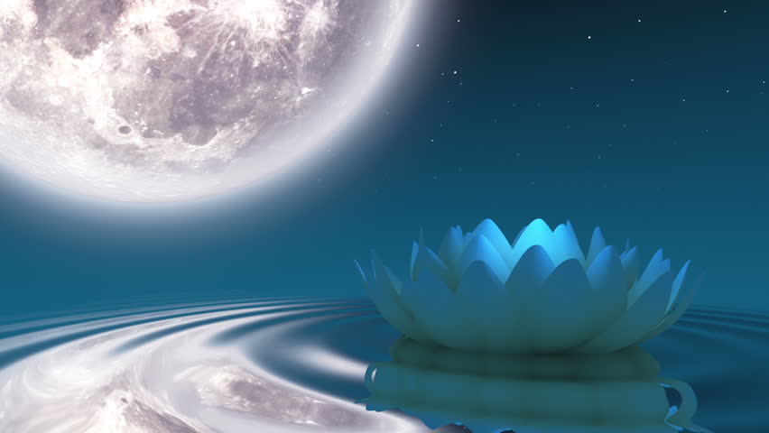 Moon night lotus waves meditation relax loop Royalty-Free Stock Footage #1015062541
