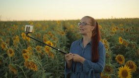 young beautiful Caucasian woman blogger in glasses with red hair shoots video for social networks on smartphone in the field with sunflowers in the evening at sunset.