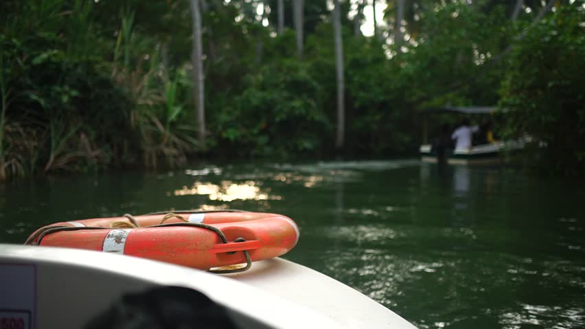 Boat and Palm tree backwater in India Timelapse