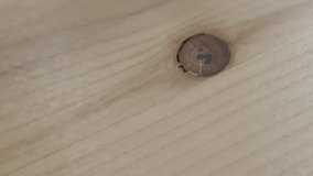 Knot in flat sawn wood grain texture 4K video
