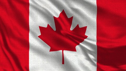 Canada Flag Loop - Realistic 4K - 60 fps flag waving in the wind. Seamless loop with highly detailed fabric texture. Loop ready in 4k resolution