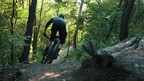 mountain biker rushes along road in forest, slow motion วิดีโอสต็อก