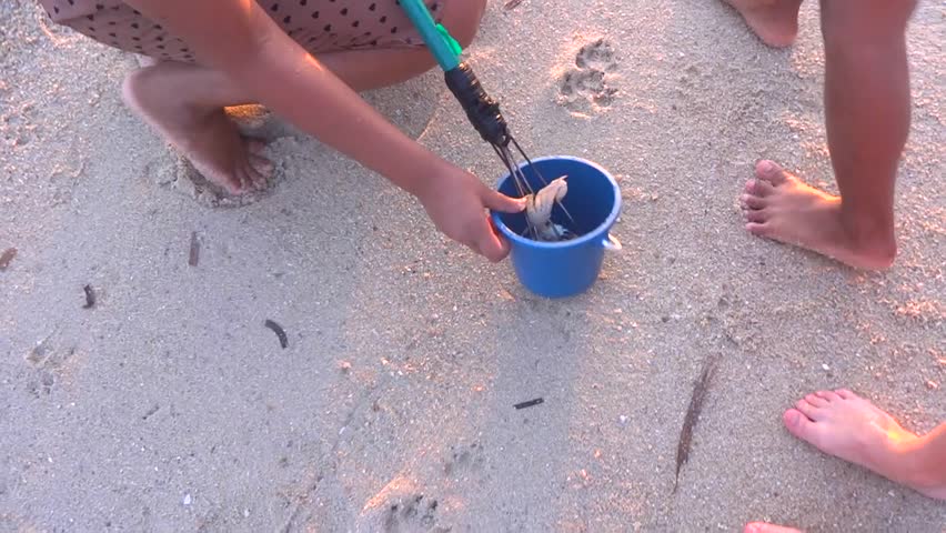 children fishing seafood for dinner at beach at sunset
